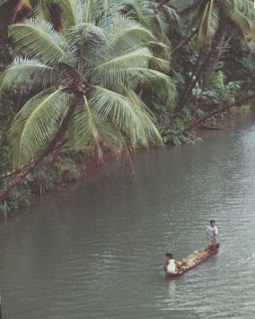 Sharavati river scene